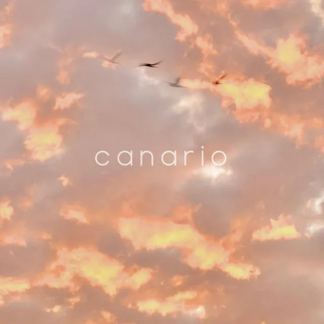 Canario