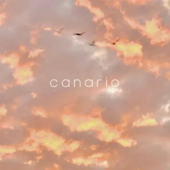 Canario by Patrick Behnke