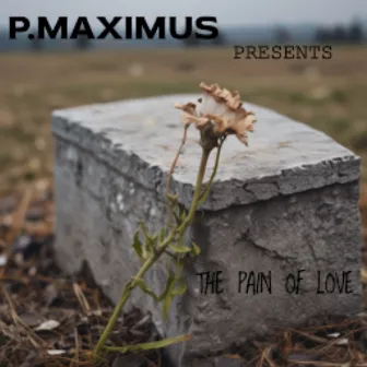 The Pain of Love by P. Maximus