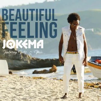 Beautiful Feeling by Jokema,