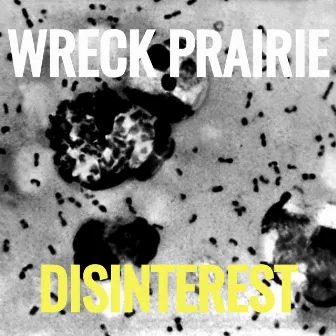 Disinterest by Wreck Prairie