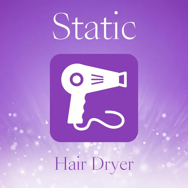 Static Hair Dryer