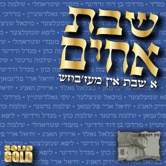 Shevet Achim: A Shabbos in Mezbish by Avi Fishoff