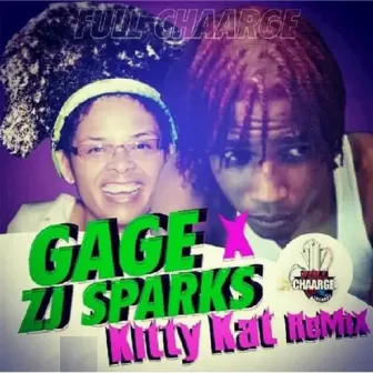 Kitty Kat (Remix) by ZJ Sparks