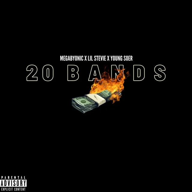 20 BANDS