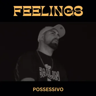 Fellings by Possessivo