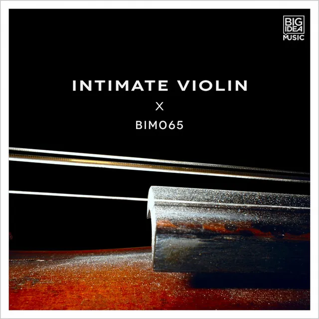 Intimate Violin