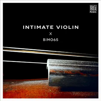 Intimate Violin by Jr.