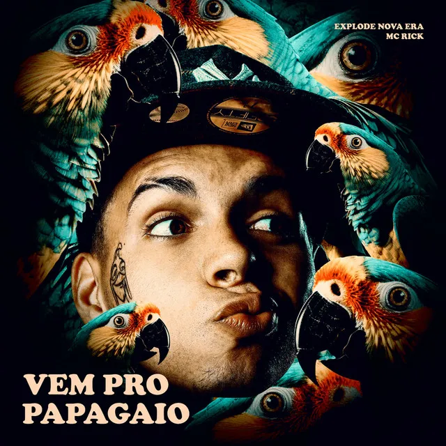 Vem pro Papagaio