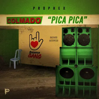 Pica Pica by Prophex