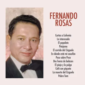 Fernando Rosas by Fernando Rosas