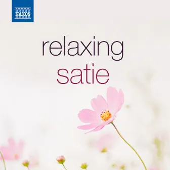 Relaxing Satie by Nicolas Horvath