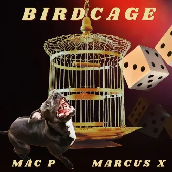 Birdcage by Mac P