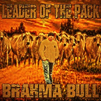 Leader of the Pack by Brahma Bull