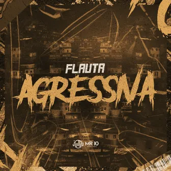 Flauta Agressiva by Mc Tassinho