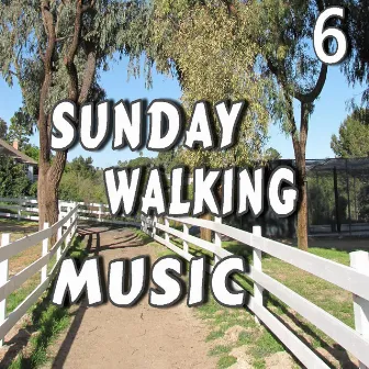 Sunday Walking Music, Vol. 6 (Special Edition) by Shelby Johnson