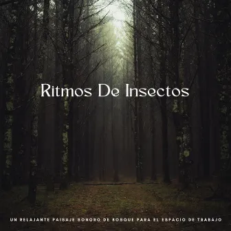 Ritmos De Insectos: Un Relajante Paisaje Sonoro De Bosque Para El Espacio De Trabajo by Música para ritmos de trabajo