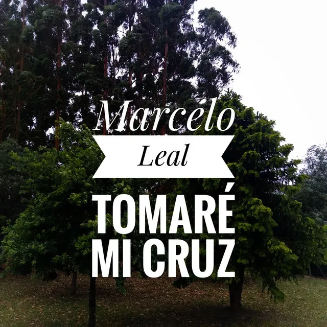 Tomaré mi cruz