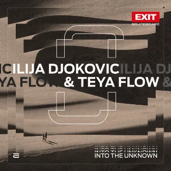 Into The Unknown by Teya Flow