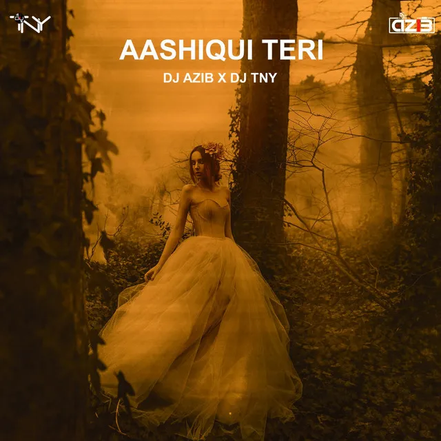 Aashiqui Teri - Original