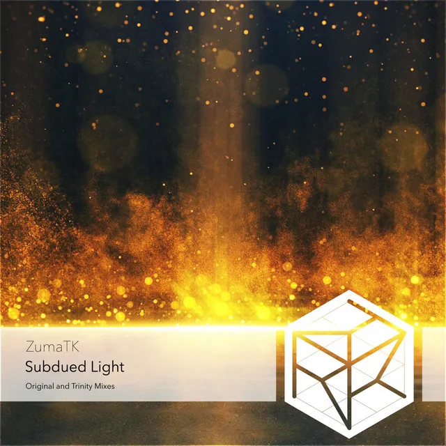 Subdued Light - Trinity Remix