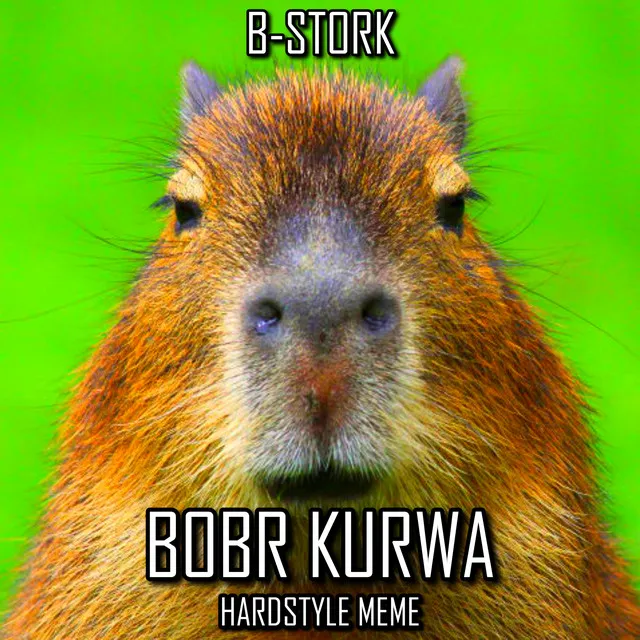 Bobr Kurwa (Hardstyle Meme)