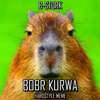 Bobr Kurwa (Hardstyle Meme) by B-Stork