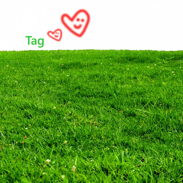 Tag