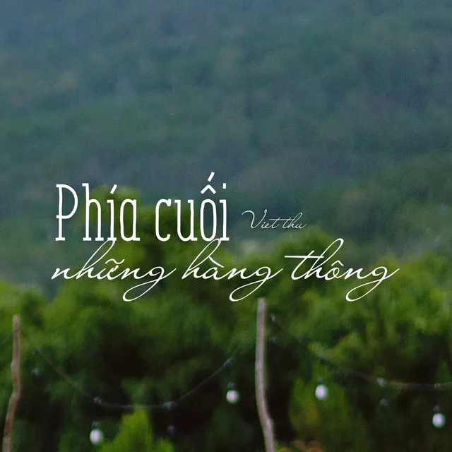 Phía Cuối Những Hàng Thông