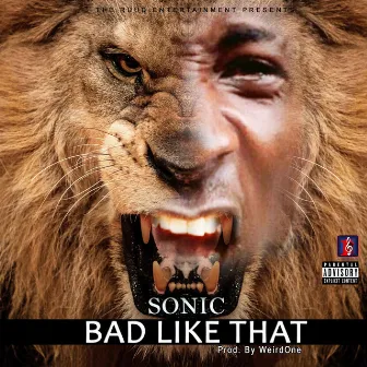 Bad Like That by Sonic