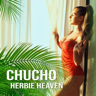 Herbie Heaven (Radio Edit) by Chucho