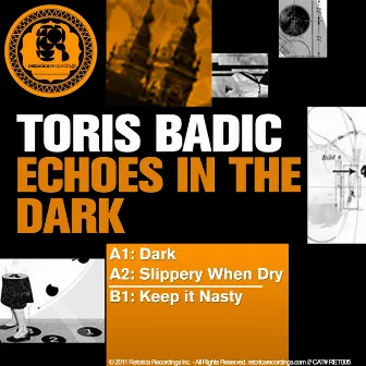 Echoes In the Dark by Toris Badic