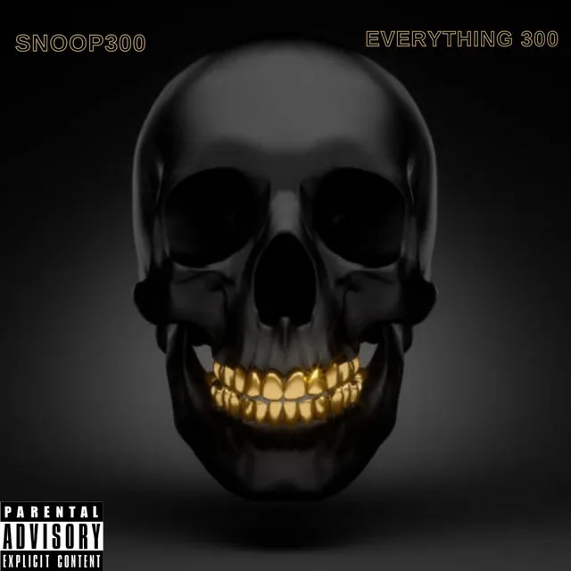 Everything 300