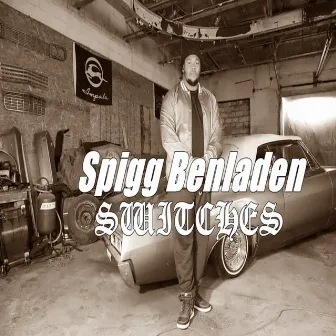 Switches by Spigg Benladen