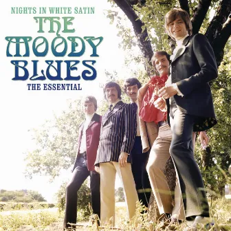 Nights In White Satin by The Moody Blues