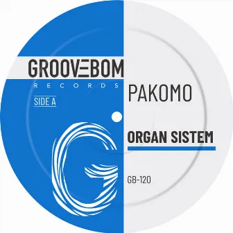 Organ Sistem by Pakomo