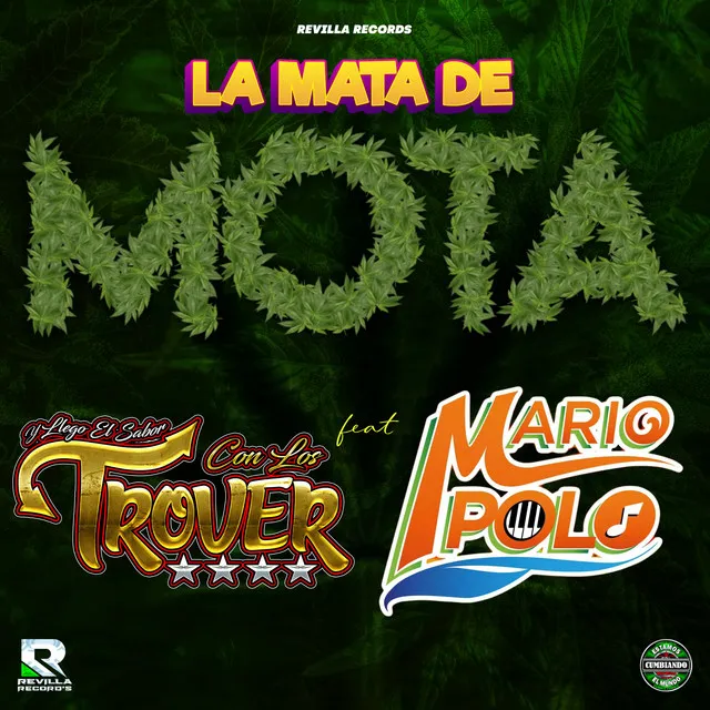 La Mata de Mota