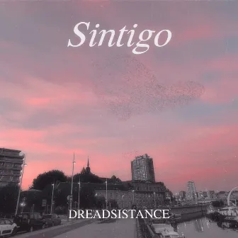 Sintigo by Dreadsistance