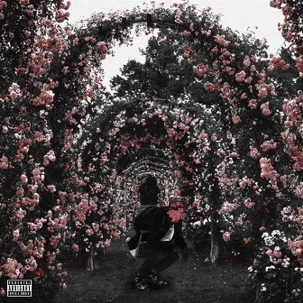 Meet Me at the Rose Garden by Banko