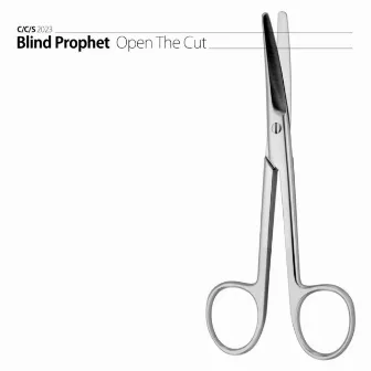 Blind Prophet by Blind Prophet