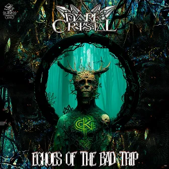 Echoes of a Bad Trip by Dark Crystal