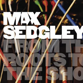 From the Roots to the Shoots by Max Sedgley