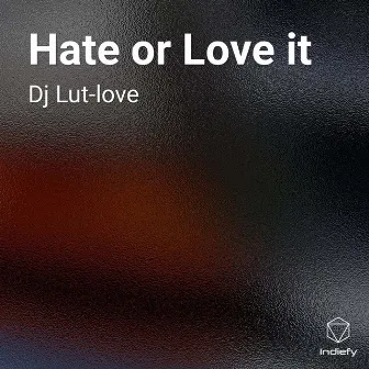 Hate or Love it by Dj Lut-love