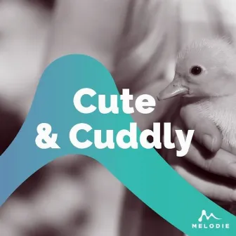 Cute & Cuddly by Russell Thornton