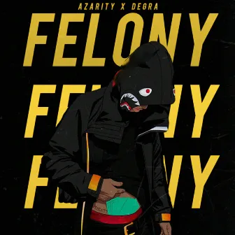 Felony by Degra