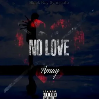 No Love by Amay