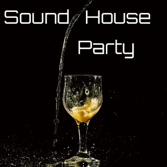 Sound House Party 2024 by Bryan Cors