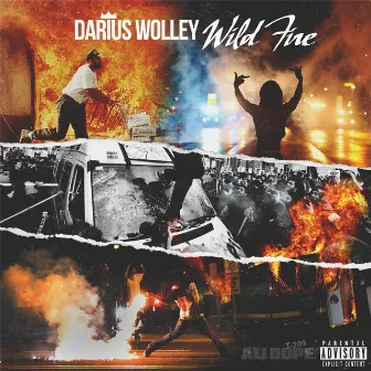 Wild Fire by Darius Wolley