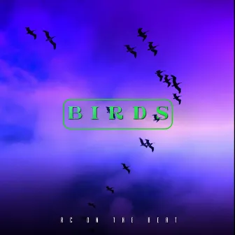 Birds by RC on the Beat Boy