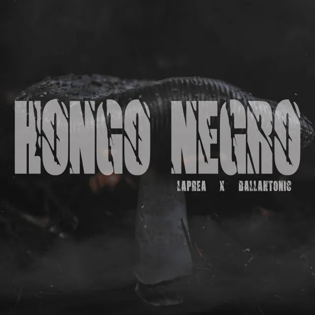 Hongo Negro